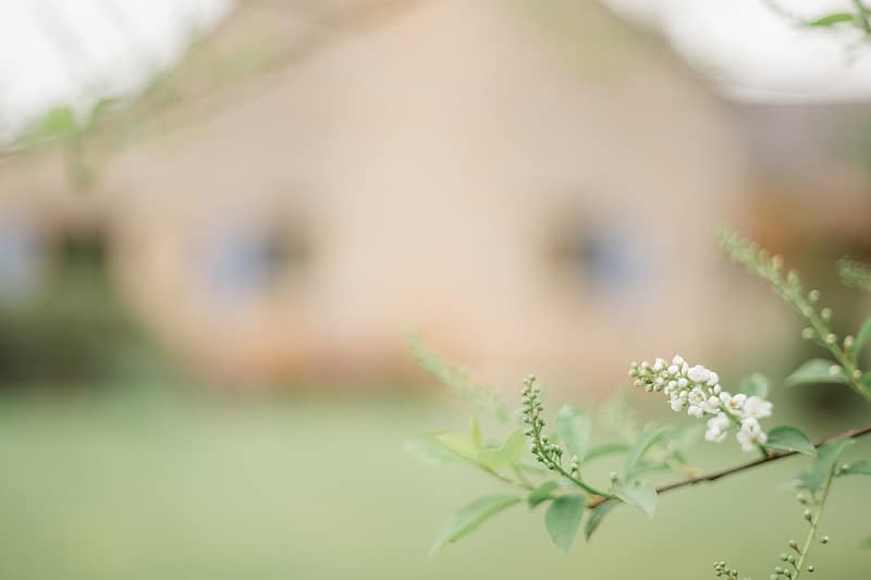 Photographe Toulouse mariage famille