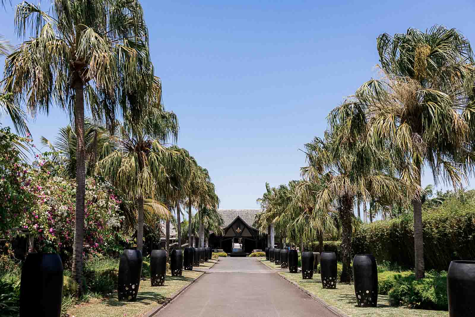 Photographie de Mathieu Dété, photographe de mariage sur l'île de la Réunion 974, présentant l'allée du Palm Hôtel à Petite Ile