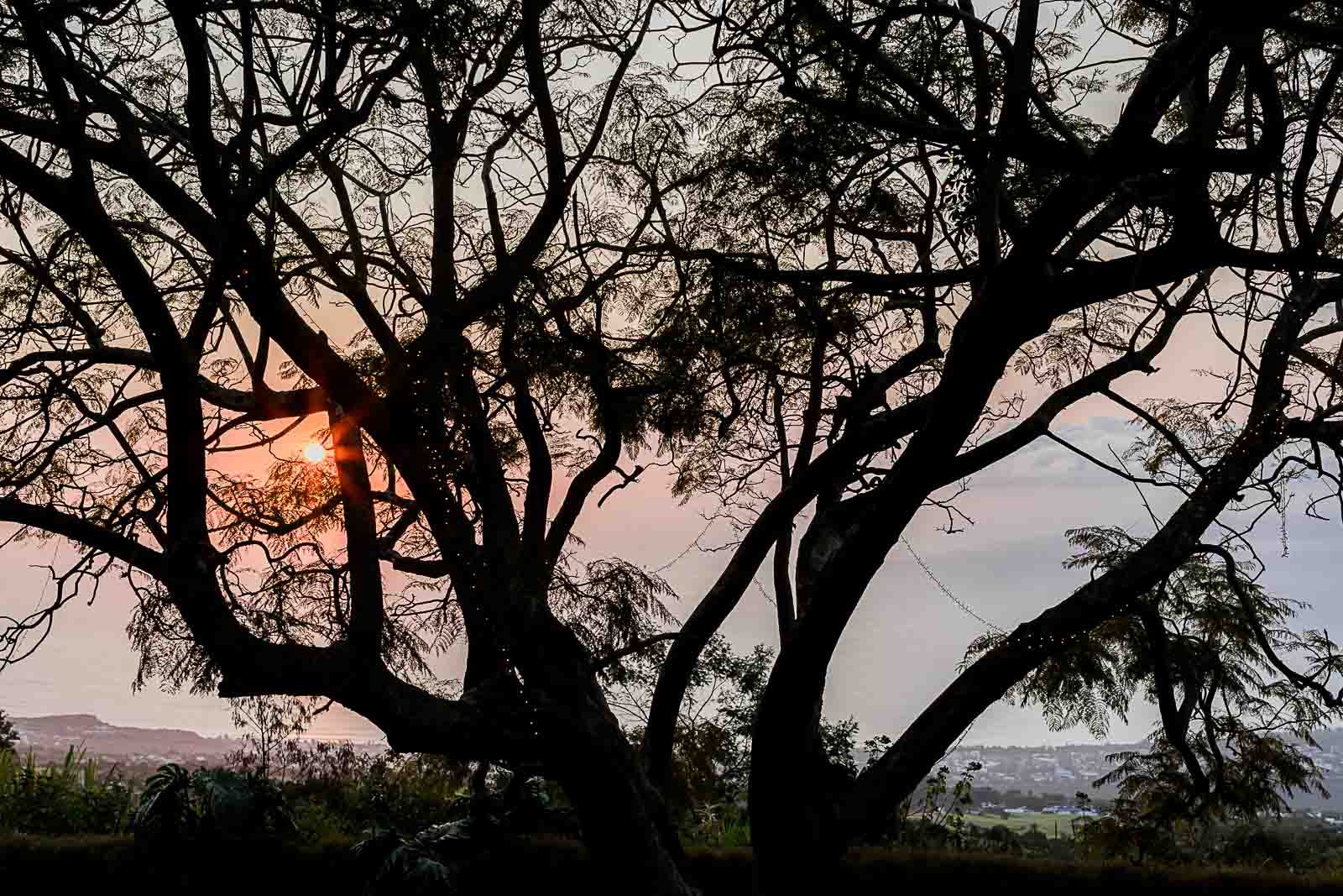 Photographie de Mathieu Dété, photographe de mariage et famille à Saint-Paul sur l'île de la Réunion 974, présentant la vue sur le coucher de soleil devant un arbre du jardin de la Villa Laurina