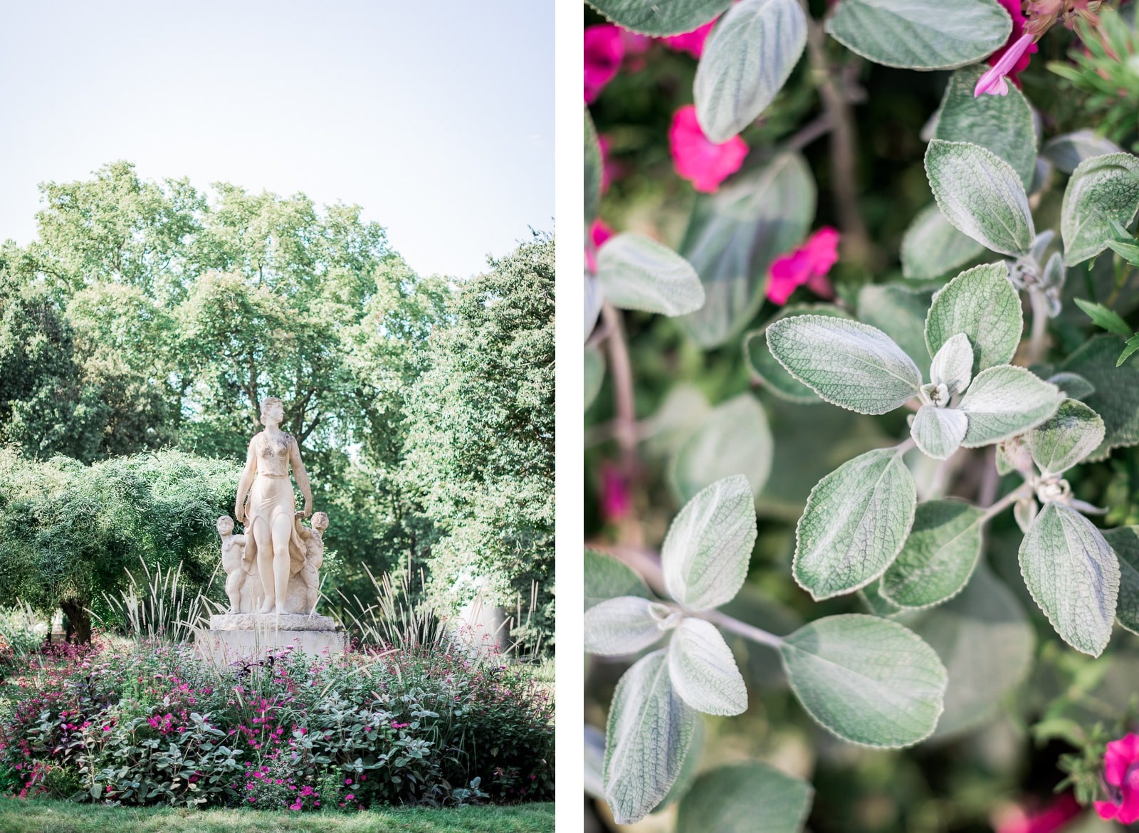 Photographie de Mathieu Dété, photographe de couple et famille sur l'île de la Réunion (974), présentant les détails du jardin des plantes de Toulouse