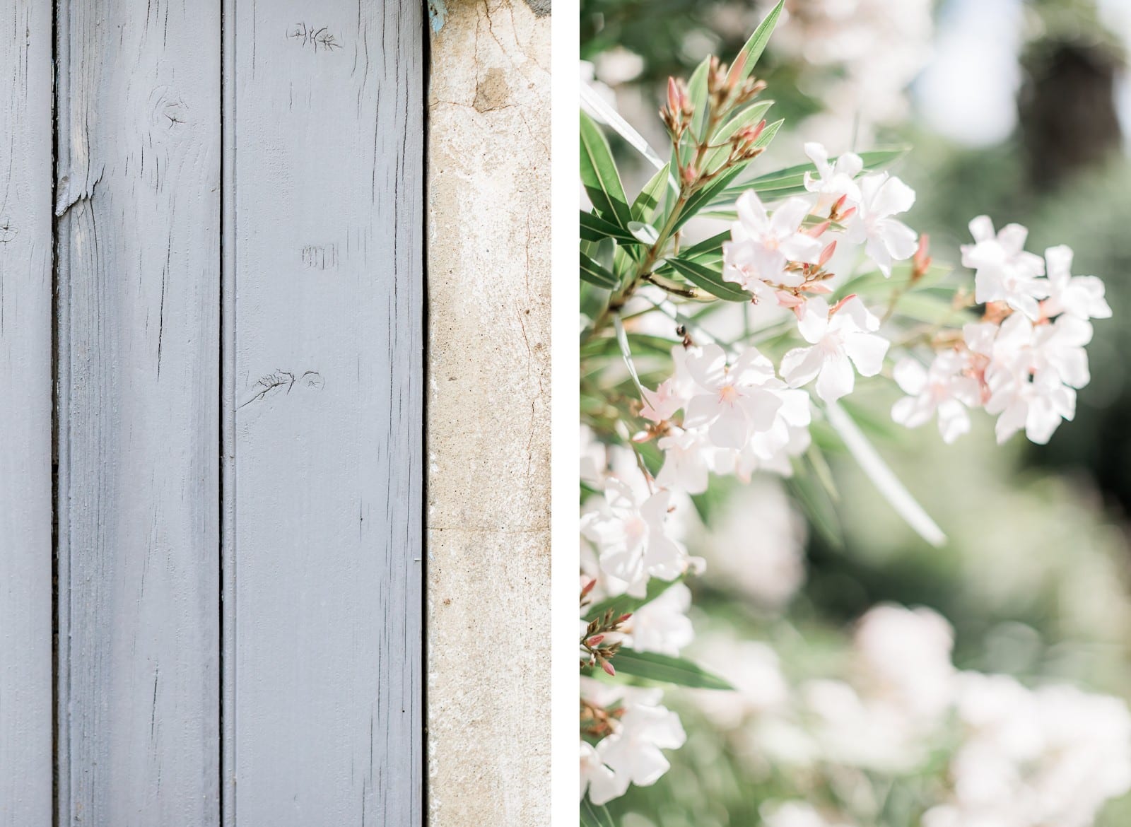 Photographie de Mathieu Dété, photographe de mariage à Saint-Pierre de la Réunion (974), présentant les détails d'une porte et des fleurs de la Villa Brignac