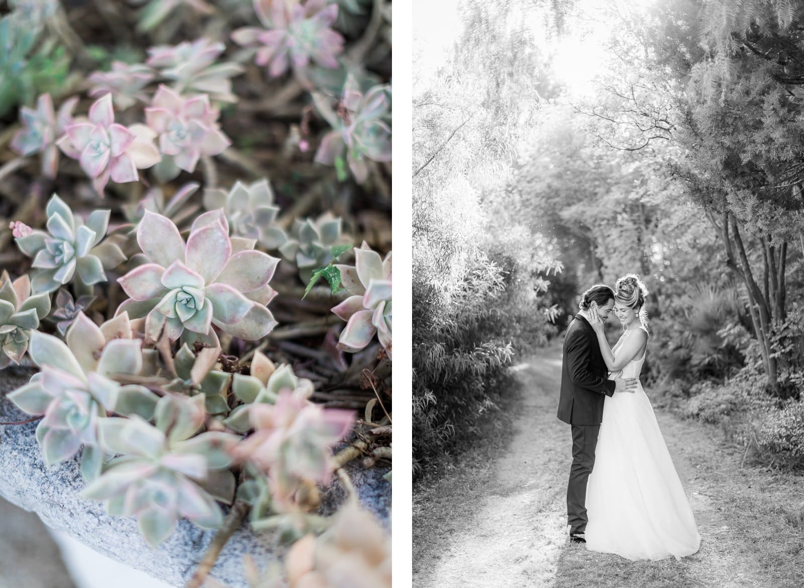 Photographie de Mathieu Dété présentant les mariés en train de danser dans les jardins de la Villa Brignac à Ollioules