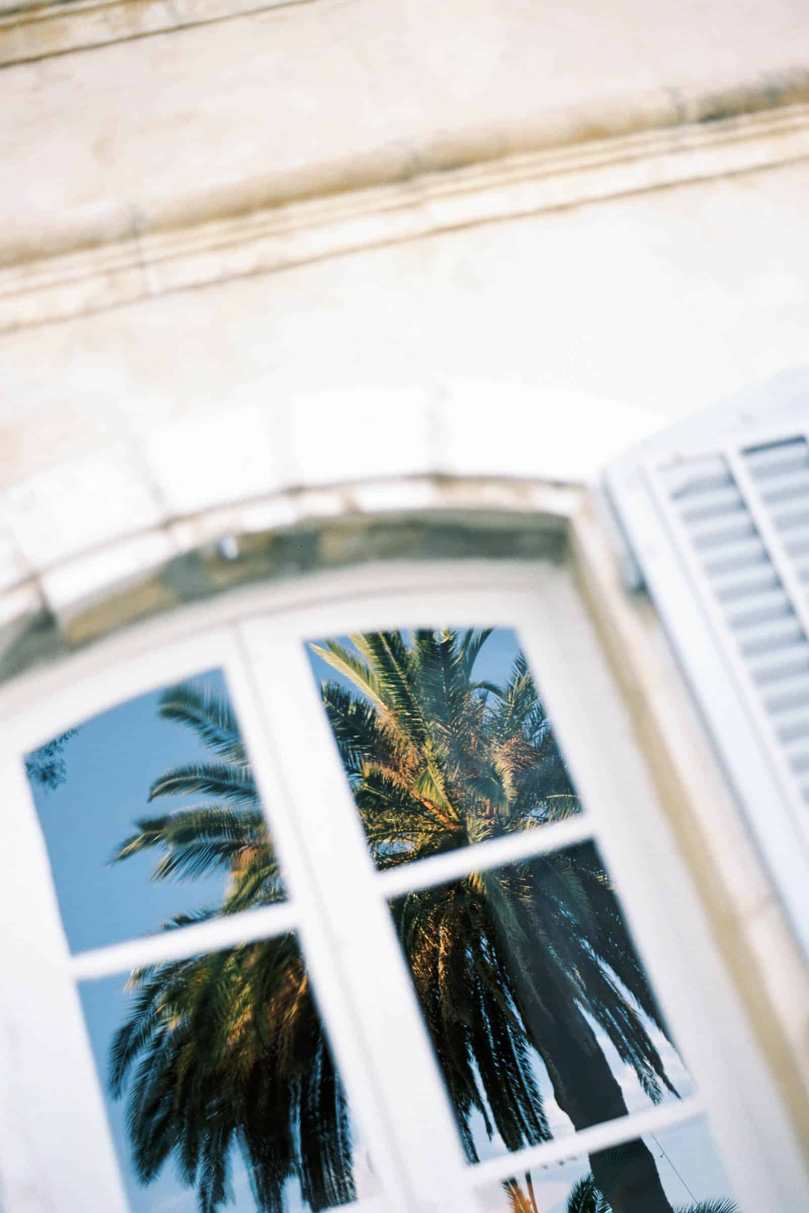 Photographie de Mathieu Dété présentant le reflet d'un palmier dans la fenêtre de la Villa Brignac