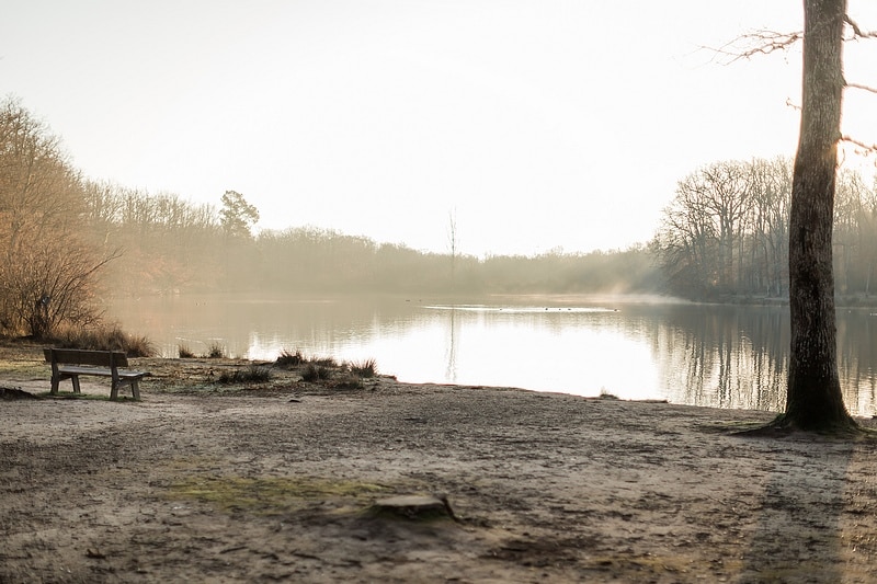 Lac de la Bordette - Photographe mariage portrait Toulouse