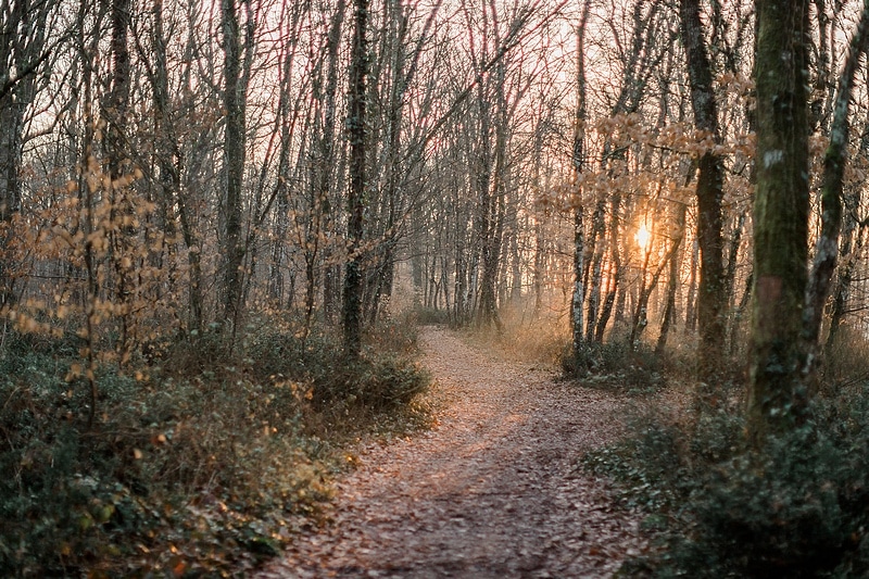 Forêt de Bouconne - Photographe mariage portrait Toulouse